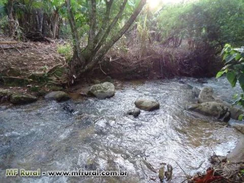 Lindo sitio em Juquiá SP Vale do Ribeira 3 hectares quase todo limpo.Barato