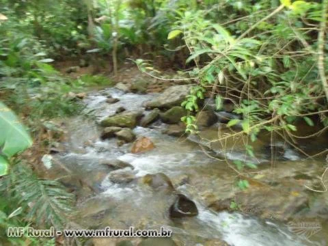 Lindo sitio em Juquiá SP Vale do Ribeira 3 hectares quase todo limpo.Barato