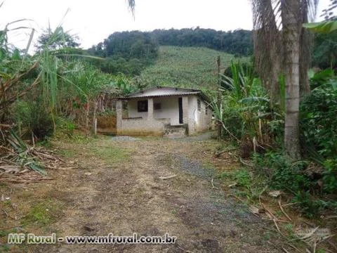 Sitio 7 hectares em Juquiá Sp,c/casa simples e boa,nascente,bananal,ótima região