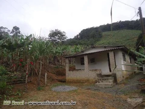 Sitio 7 hectares em Juquiá Sp,c/casa simples e boa,nascente,bananal,ótima região