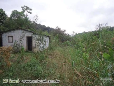 Ótimo sitio Miracatu SP,15 Hectares,ótima casa,luz,água de mina,oportunidade!!!