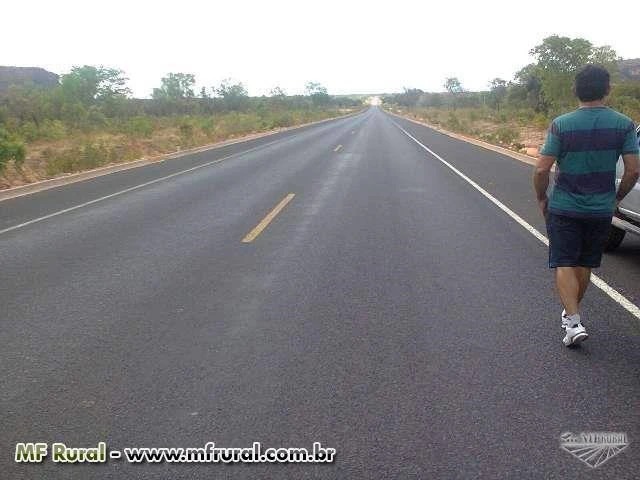 Área de 800 hectares no cerrado