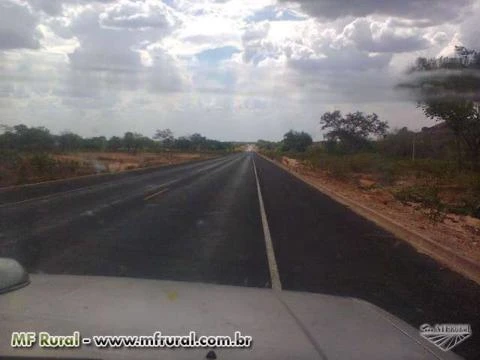 Área de 800 hectares no cerrado