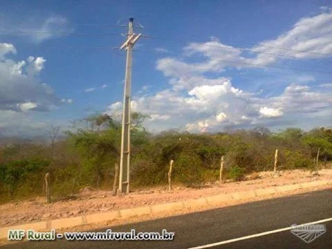 Área de 800 hectares no cerrado