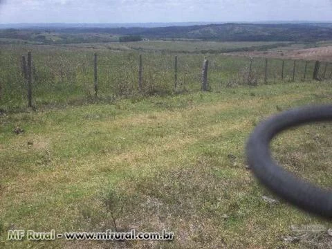 Fazenda 1.100/ha pecuária e lavoura