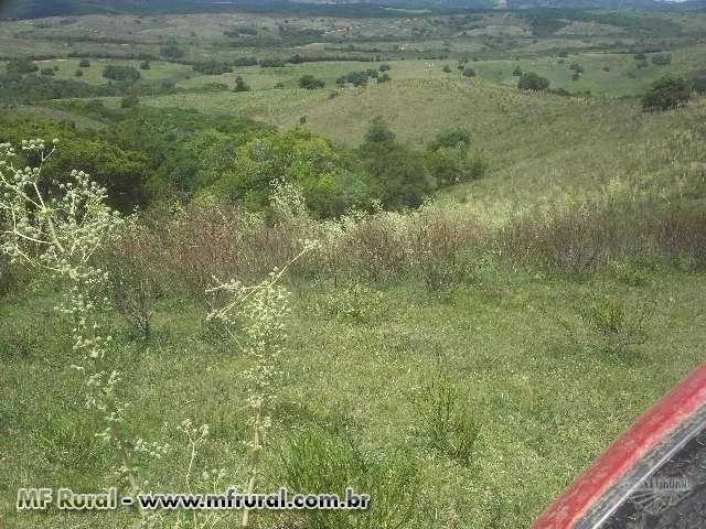 Fazenda 1.100/ha pecuária e lavoura