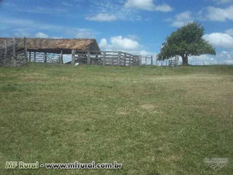 Fazenda 1.100/ha pecuária e lavoura