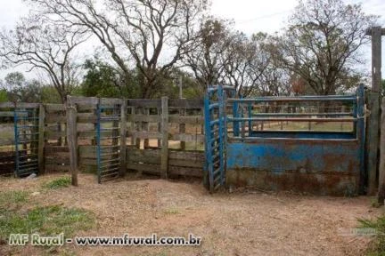 Conjunto de brete, arena e curral a venda