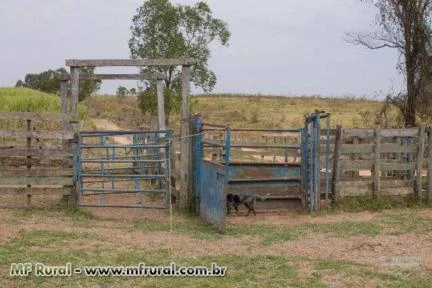 Conjunto de brete, arena e curral a venda