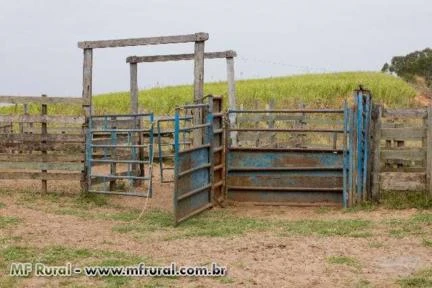 Conjunto de brete, arena e curral a venda