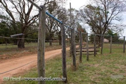 Conjunto de brete, arena e curral a venda