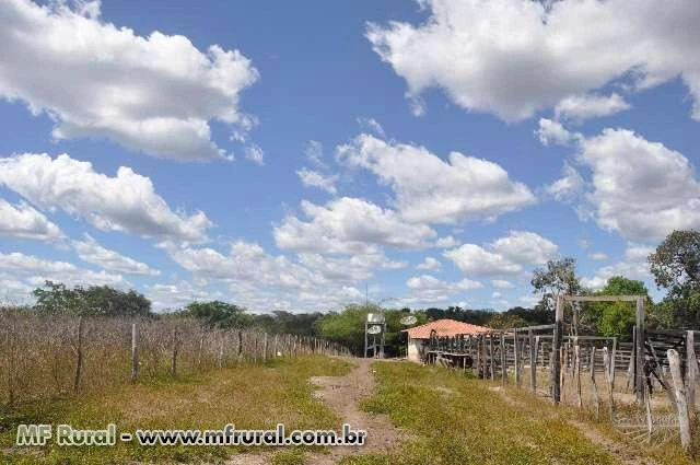 630 hectares proximos ao Rio Corda, no Maranhao