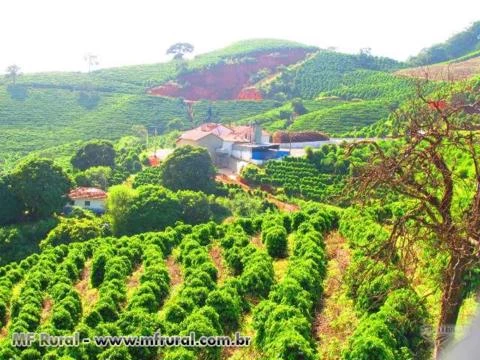 FAZENDA CAMPEÃ DE CAFÉS NO SUL DE MINAS - 246 HA ACEITA 50% EM IMOVEIS