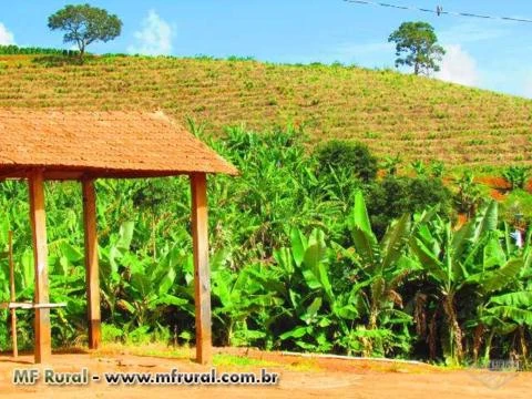 FAZENDA CAMPEÃ DE CAFÉS NO SUL DE MINAS - 246 HA ACEITA 50% EM IMOVEIS