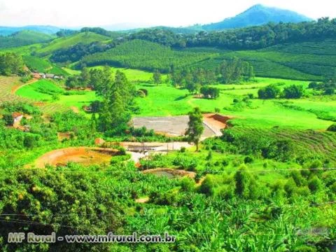 FAZENDA CAMPEÃ DE CAFÉS NO SUL DE MINAS - 246 HA ACEITA 50% EM IMOVEIS