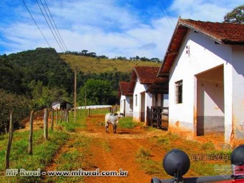 FAZENDA EM SÃO LOURENÇO MG - MUITO BOA PARA CAFÉ E LEITE