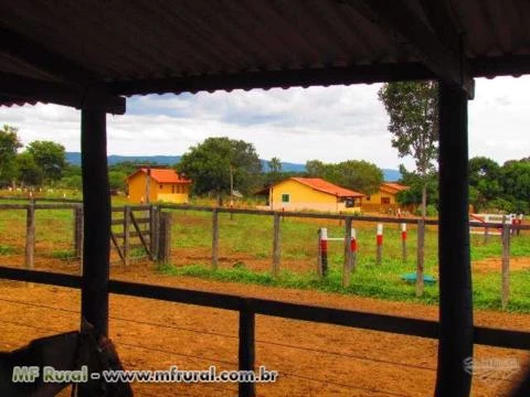 FAZENDA EM COLINAS DO SUL GO A MELHOR DA REGIÃO 60% DE TERRA VERMELHA