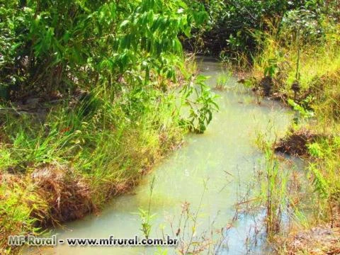 FAZENDA EM COLINAS DO SUL GO A MELHOR DA REGIÃO 60% DE TERRA VERMELHA