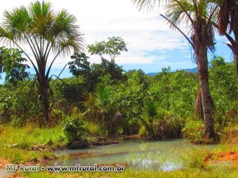 FAZENDA EM COLINAS DO SUL GO A MELHOR DA REGIÃO 60% DE TERRA VERMELHA