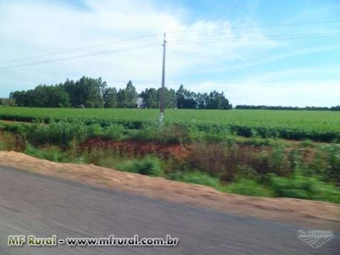 FAZENDA EM NOVA XAVANTINA MT COM 726 HA COM DUPLA APEDIDÃO