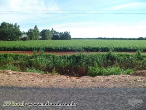 FAZENDA EM NOVA XAVANTINA MT COM 726 HA COM DUPLA APEDIDÃO