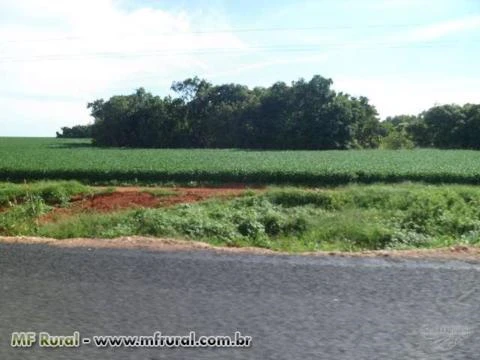 FAZENDA EM NOVA XAVANTINA MT COM 726 HA COM DUPLA APEDIDÃO