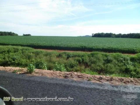 FAZENDA EM NOVA XAVANTINA MT COM 726 HA COM DUPLA APEDIDÃO