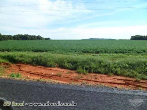 FAZENDA EM NOVA XAVANTINA MT COM 726 HA COM DUPLA APEDIDÃO