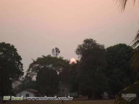 FAZENDA EM CRIXAS DO TOCANTINS TO 4084 HA