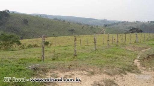 VENDO FAZENDA COM 100 ALQUEIRES EM SÃO MIGUEL ARCANJO