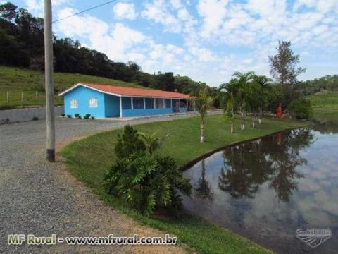 FAZENDA EM SALTO DE PIRAPORA  EUCALIPTO COM 55 ALQUEIRES SENDO 33 PLANTADO