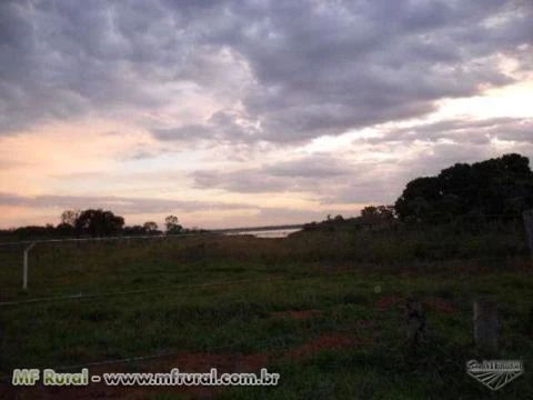 FAZENDA 1239 HA EM CARNEIRINHO MG - PECUÁRIA E AGRICULTURA