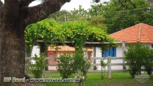 VENDO 187 ALQUEIRES EM PROMISSÃO SP - PECUÁRIA E AGRICULTURA