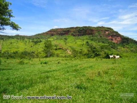 VENDO FAZENDA EM RONDONÓPOLIS MT COM DUPLA APTIDÃO 2508 HA