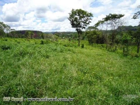 VENDO FAZENDA EM RONDONÓPOLIS MT COM DUPLA APTIDÃO 2508 HA