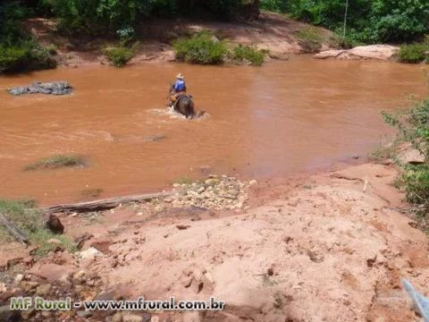 VENDO FAZENDA EM RONDONÓPOLIS MT COM DUPLA APTIDÃO 2508 HA