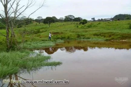 VENDO FAZENDA EM RONDONÓPOLIS MT COM DUPLA APTIDÃO 2508 HA