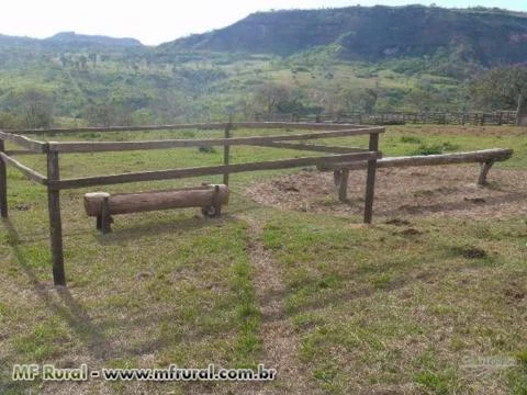 VENDO FAZENDA EM RONDONÓPOLIS MT COM DUPLA APTIDÃO 2508 HA