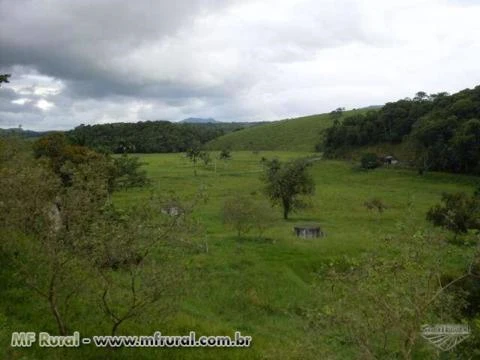 Fazenda 174 ha em Registro SP aceita 100% em permuta