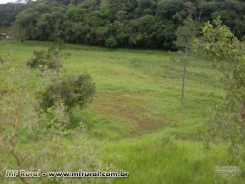 Fazenda 174 ha em Registro SP aceita 100% em permuta