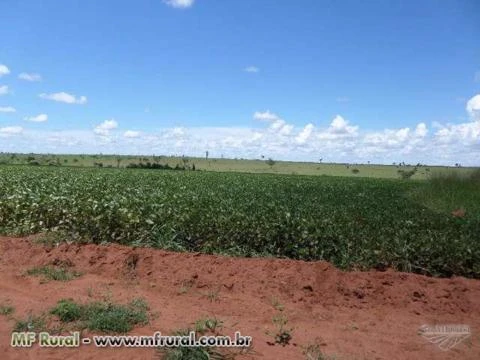 FAZENDA EM BOM JESUS DO ARAGUAÍ 2286 HA - REGIÃO DE MALU