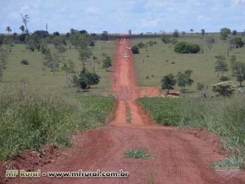 FAZENDA EM BOM JESUS DO ARAGUAÍ 2286 HA - REGIÃO DE MALU