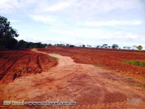 FAZENDA NA REGIÃO DE NOVO SÃO JOAQUIM-MT 1.000 HA