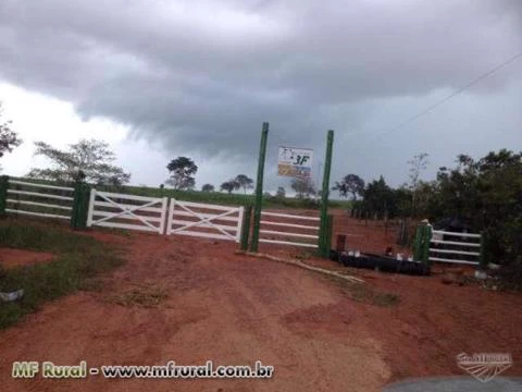 FAZENDA NA REGIÃO DE NOVO SÃO JOAQUIM-MT 1.000 HA