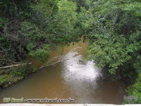 FAZENDA NA REGIÃO DE NOVO SÃO JOAQUIM-MT 1.000 HA