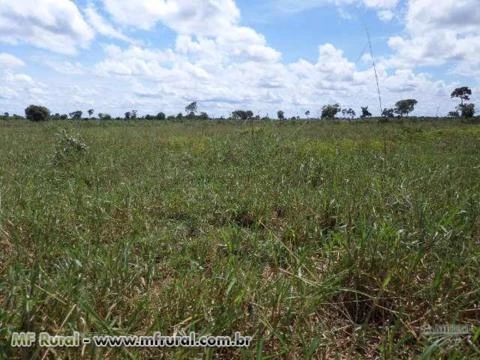 FAZENDA NO COCALINHO MT COM 968 HA TODA EM TERRA VERMELHA! 35 KM DO ASFALTO NOVO