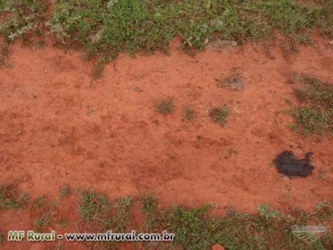 FAZENDA EM BOM JESUS DO ARAGUAIA MT 1.600 HA - NA BEIRA DO ASFALTO