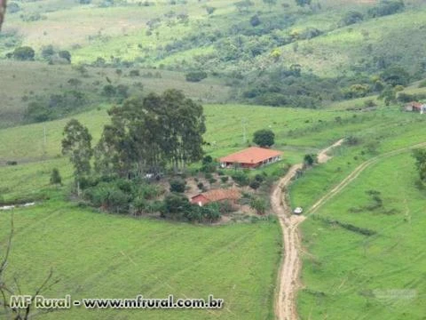 Oportunidade - Fazenda para gado nelore e agricultura na região de São Roque de Minas 380 ha