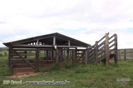 Oportunidade - Fazenda para gado nelore e agricultura na região de São Roque de Minas 380 ha