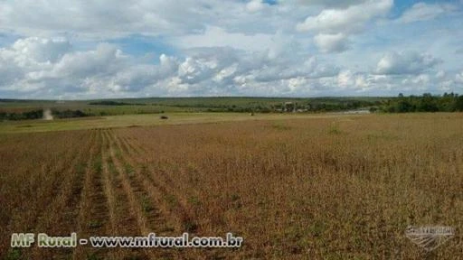 Vendo fazenda em cristalina goias com pivot central para pagamento em 8 anos